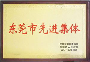 东莞市先进集体